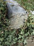 image of grave number 874341